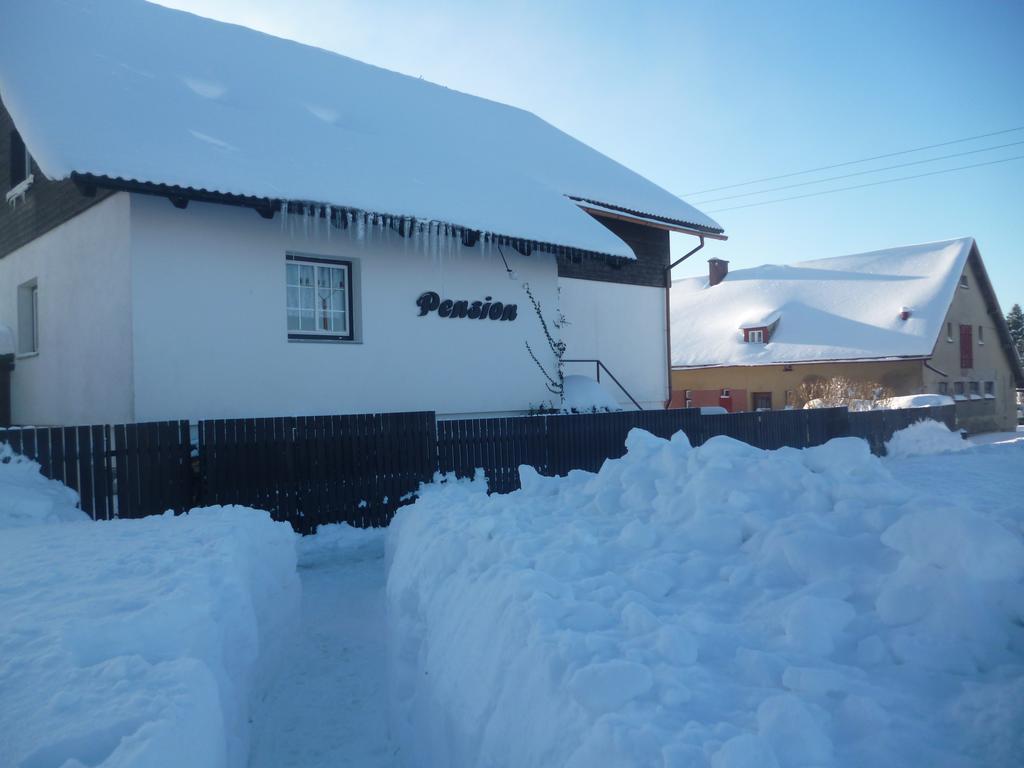 Pension Pugner Vysoké nad Jizerou Exterior foto