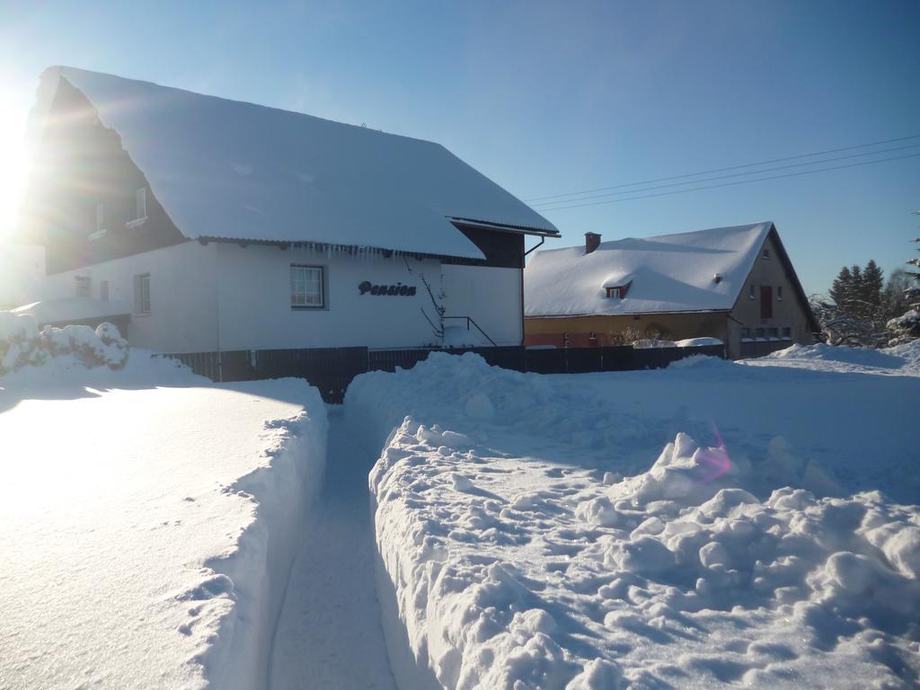 Pension Pugner Vysoké nad Jizerou Exterior foto