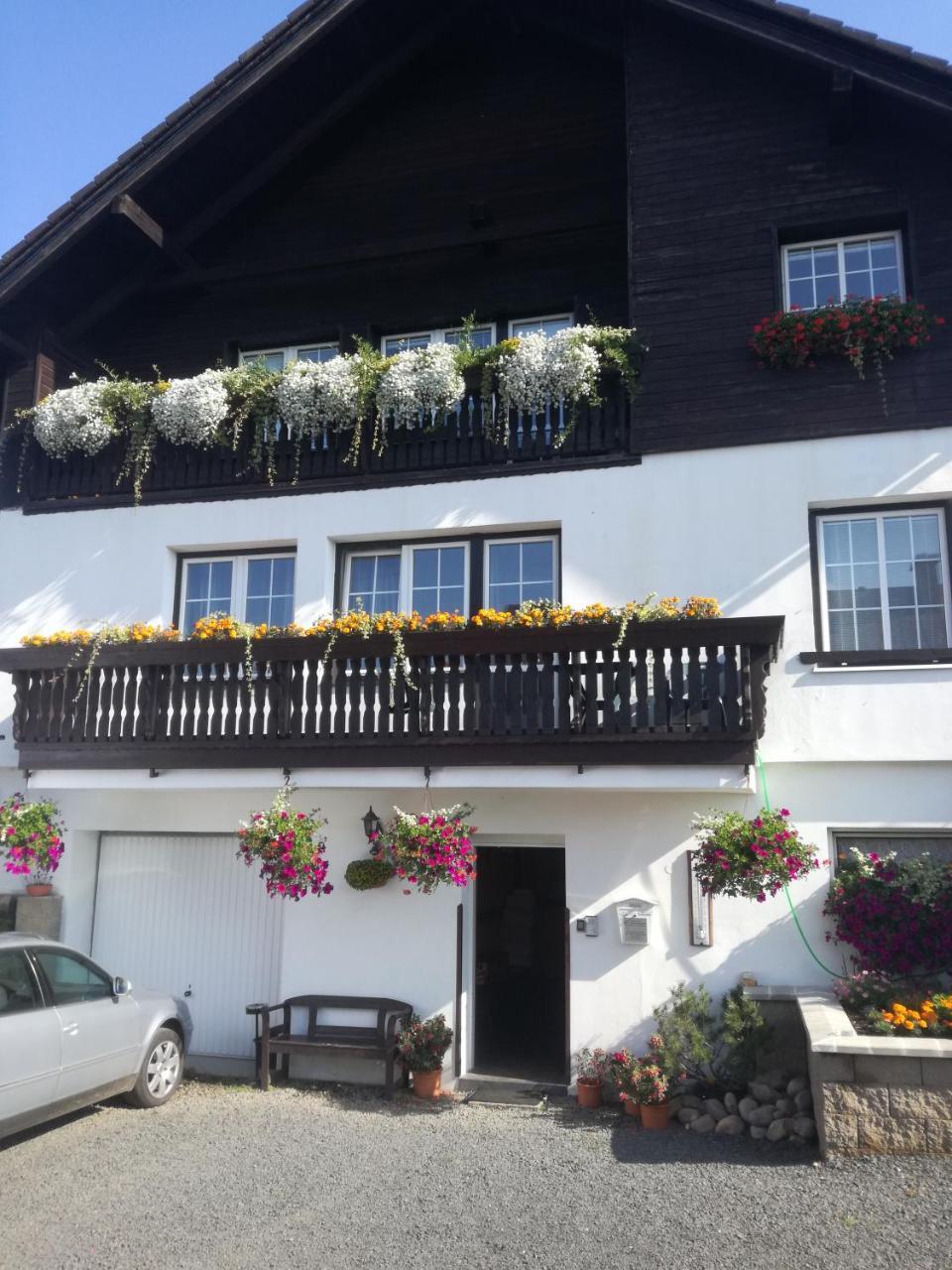 Pension Pugner Vysoké nad Jizerou Exterior foto